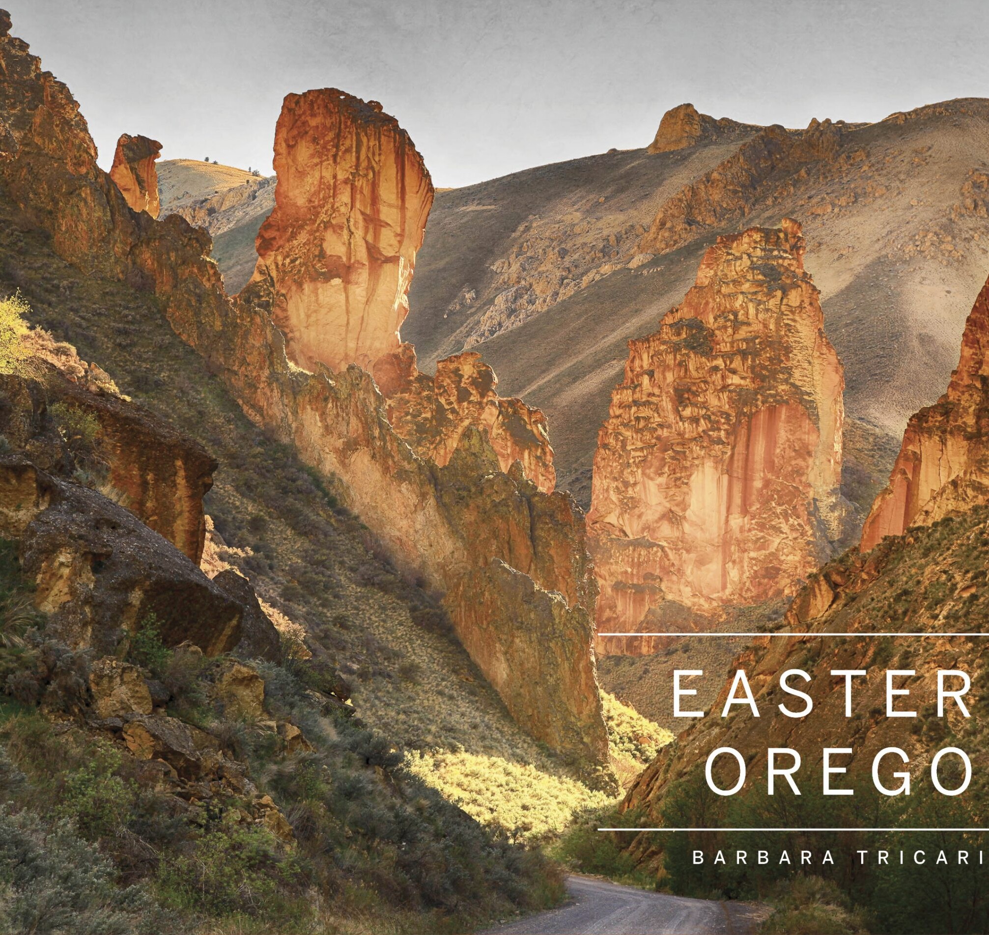 Eastern Oregon by Barbara Tricarico