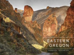 Eastern Oregon by Barbara Tricarico