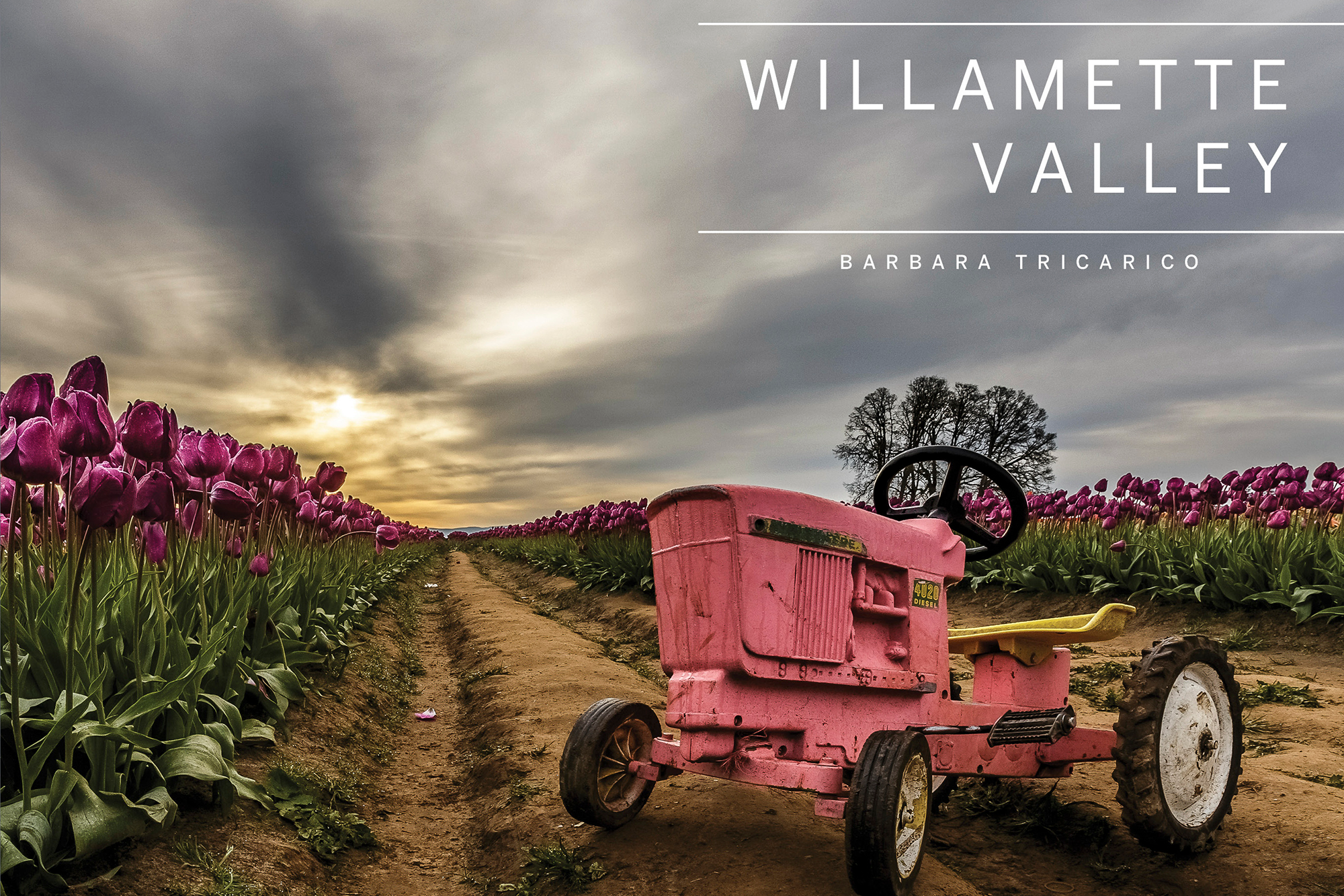 Willamette Valley by Barbara Tricarico Photography